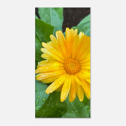 71802284-9da8-4545-a46c-2651f899e04a