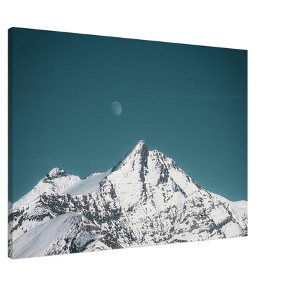 71a66b0a-bd50-4dd8-b46d-94b6043f72c8