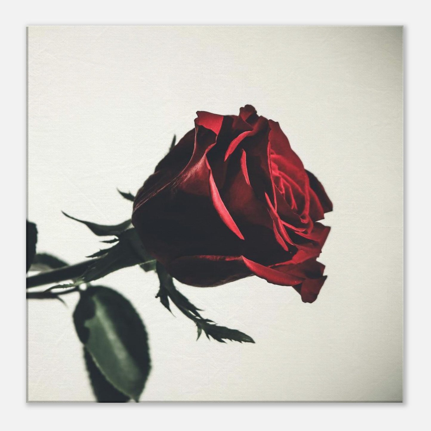 71e22061-88b7-4a0a-9e3a-c1863e790c6b