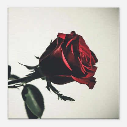 71e22061-88b7-4a0a-9e3a-c1863e790c6b