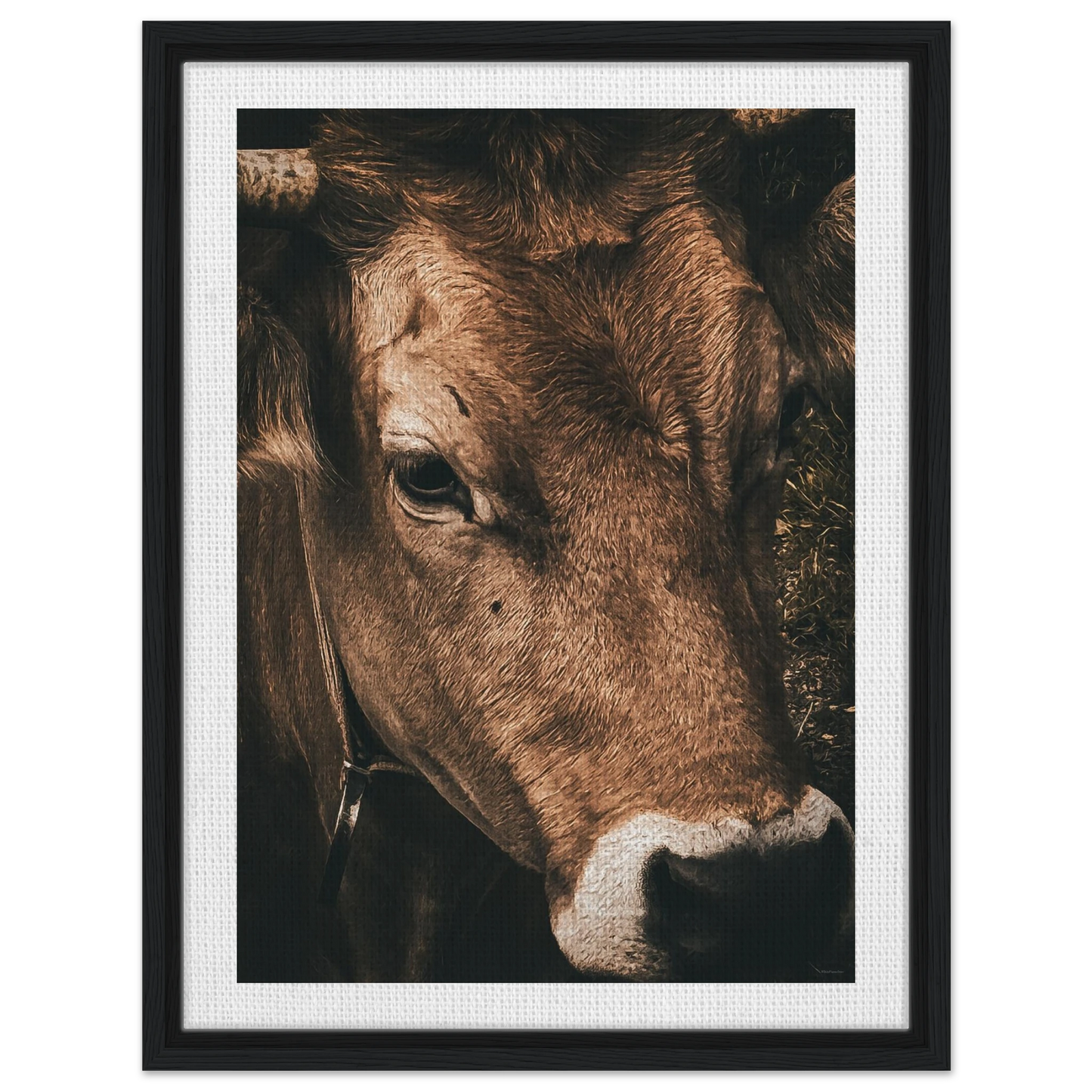 71ec8370-9243-4635-9961-ff494af3d2eb