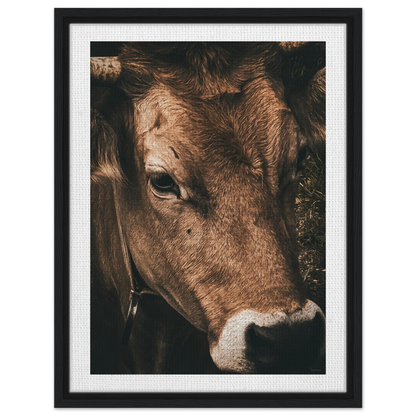 71ec8370-9243-4635-9961-ff494af3d2eb