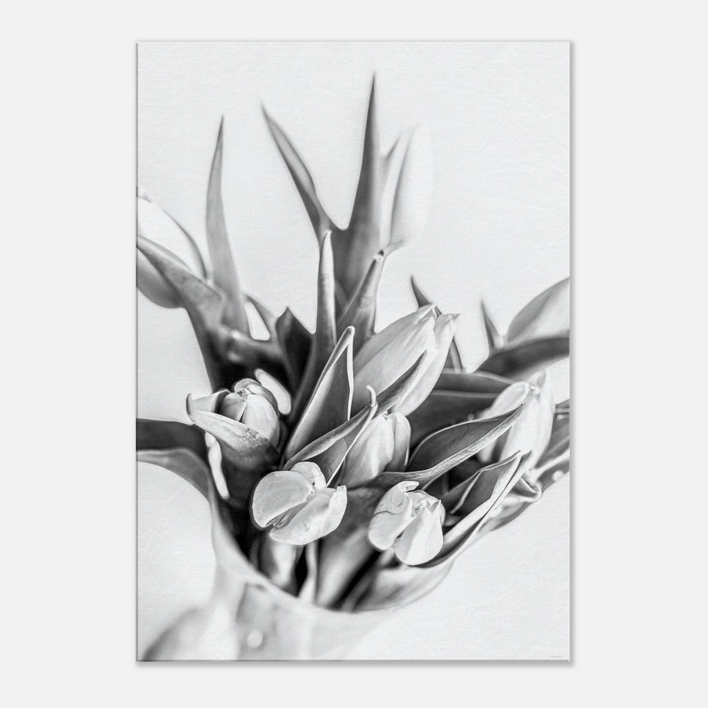 71f7923f-3edd-4bc4-a632-0d3e0bce6bcf