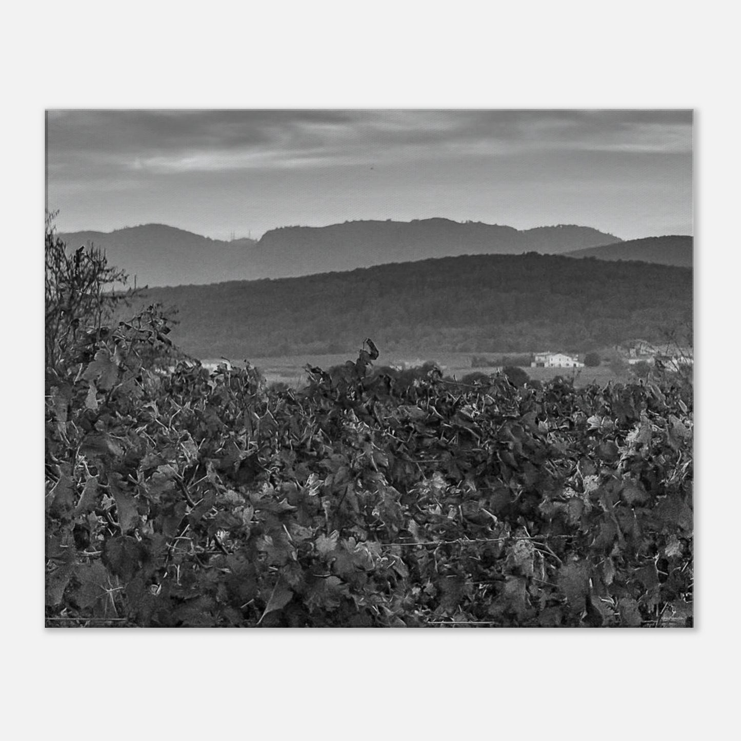 71fa152c-70b8-4ec1-a7f0-1b7fc64b6ee4