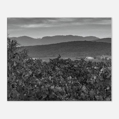 71fa152c-70b8-4ec1-a7f0-1b7fc64b6ee4