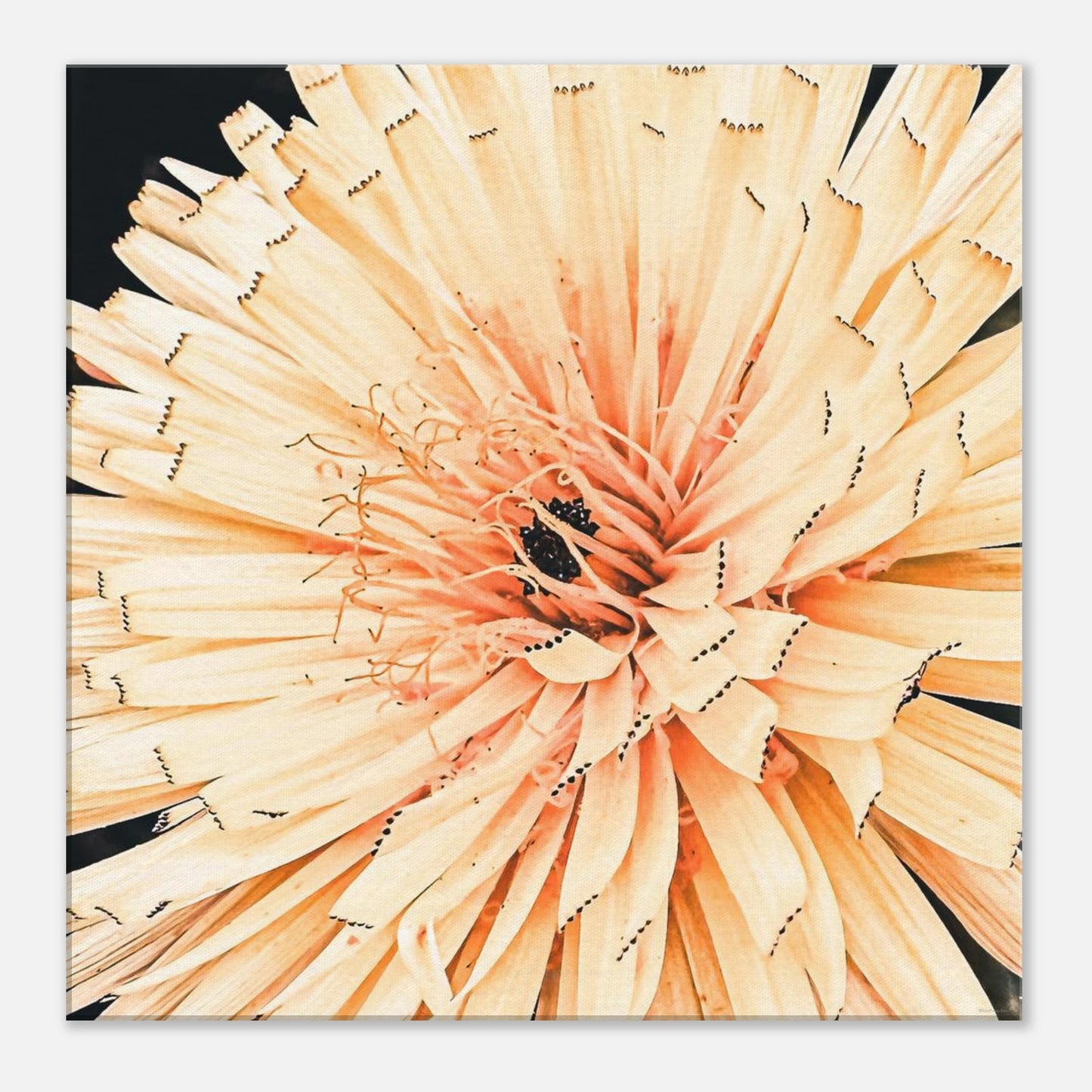 7210ffde-6c9d-424f-b052-4fb2c08429e1