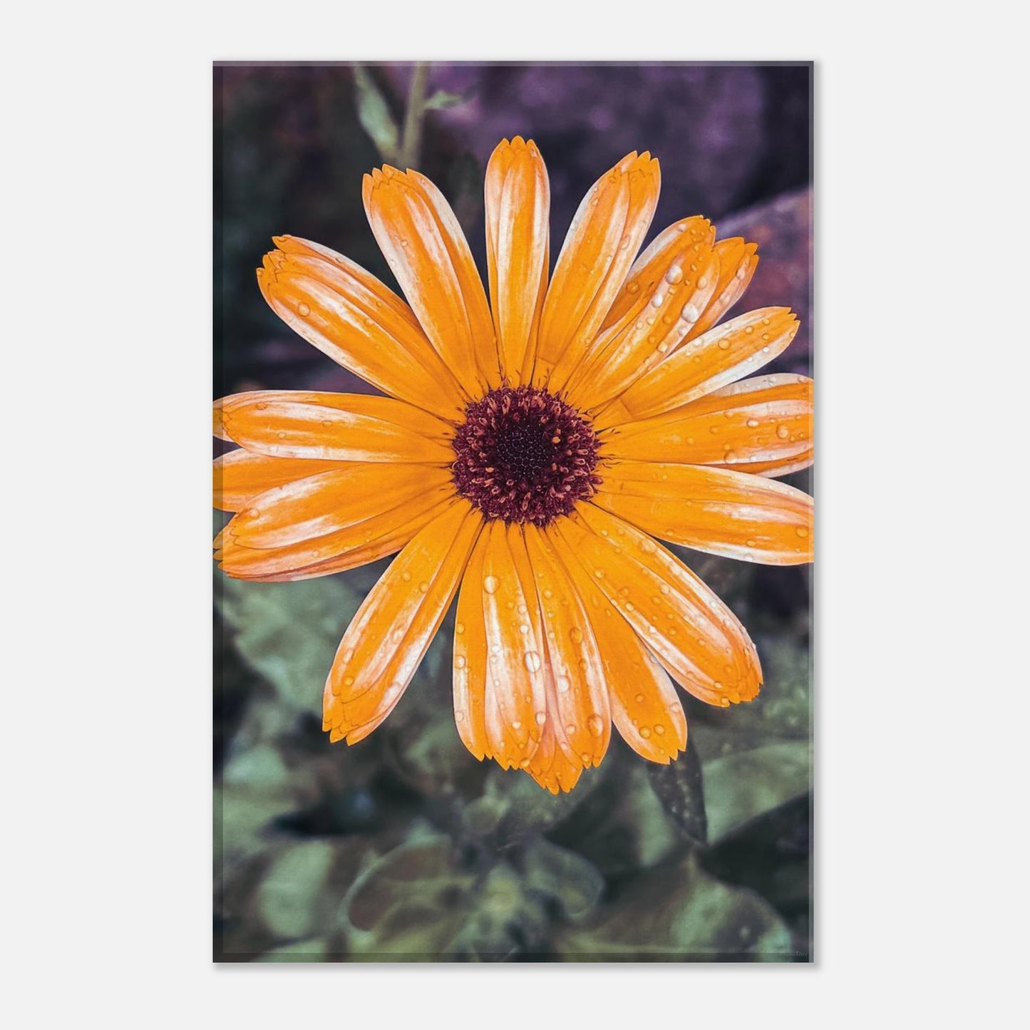 72123b12-6096-472a-a597-c2f9d2cb89ce