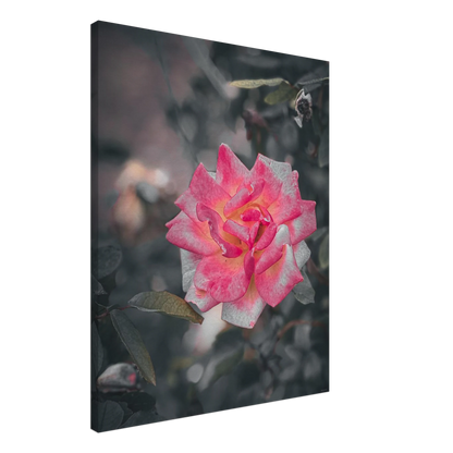 7250db1d-65e3-4fd4-a6d1-fac85264470e