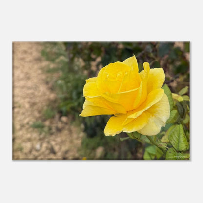 7268eb90-041f-479f-bc1c-41838b691545