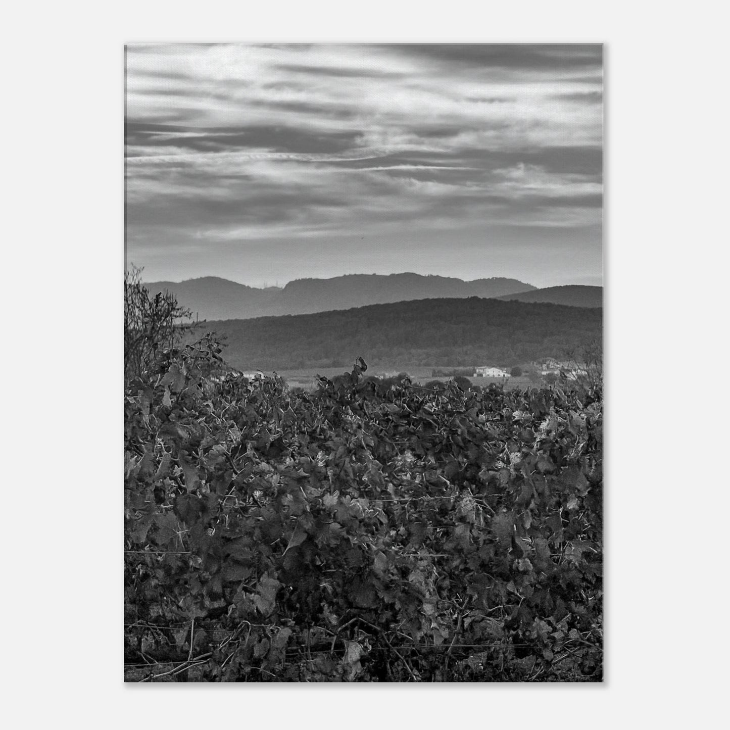 726e239a-33a6-4cba-827b-bf9c92e95e7c