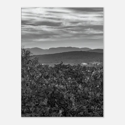 726e239a-33a6-4cba-827b-bf9c92e95e7c