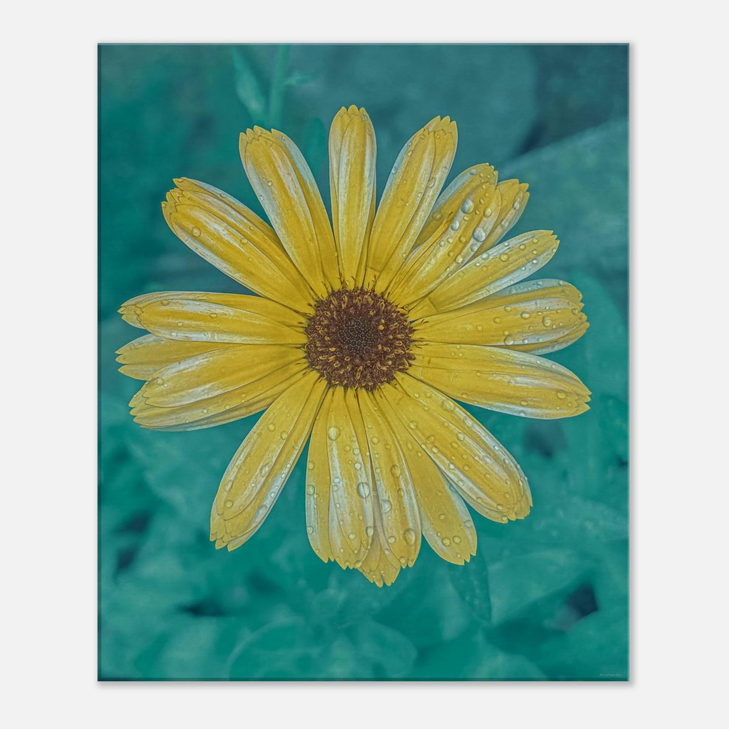 7277a53e-afb3-4307-9985-261d50004181