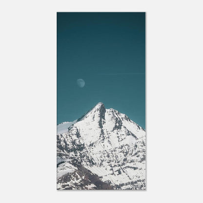 7293b746-06d3-449b-9869-8f2e1b457aa1