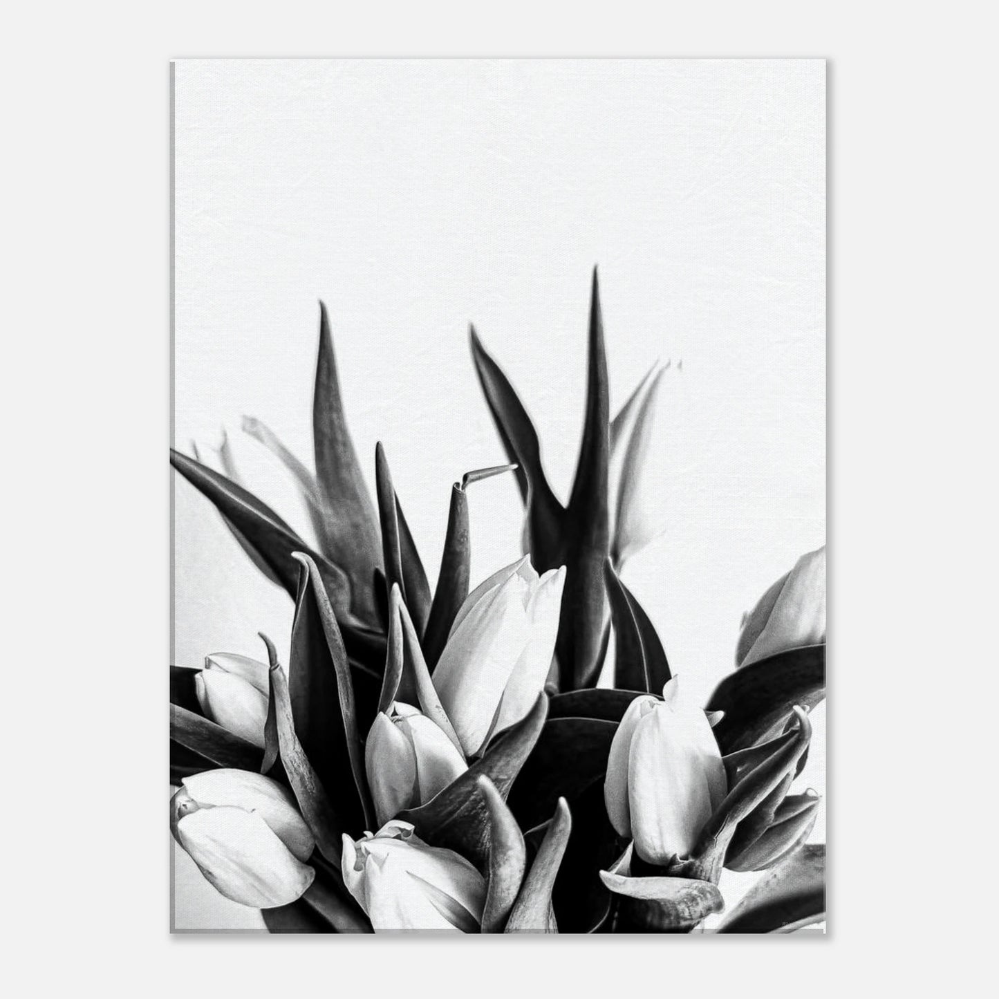 729dea53-2faf-4148-bb37-9c77783d1631