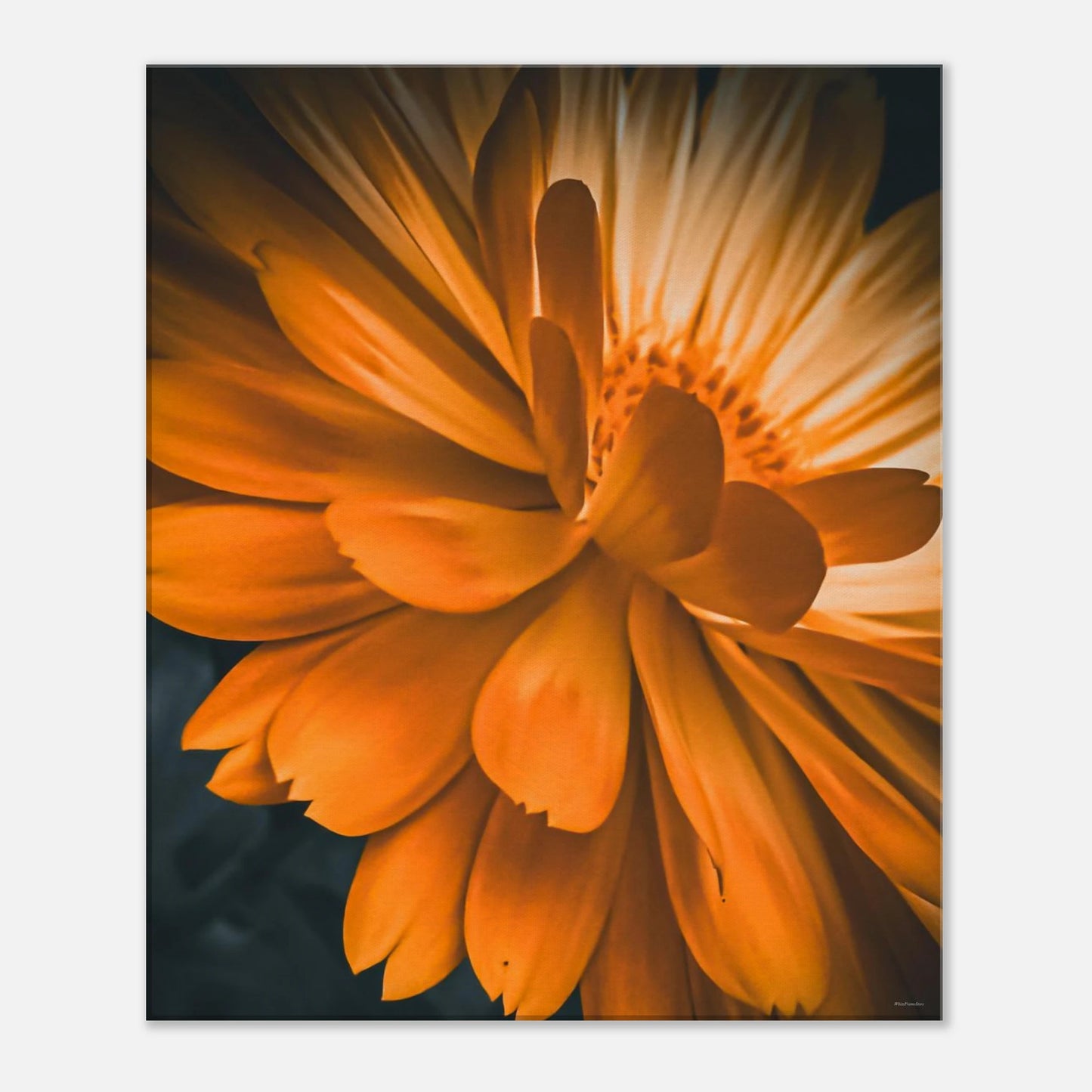 729ea238-dfe1-4610-b2e8-1afa3302a9bf