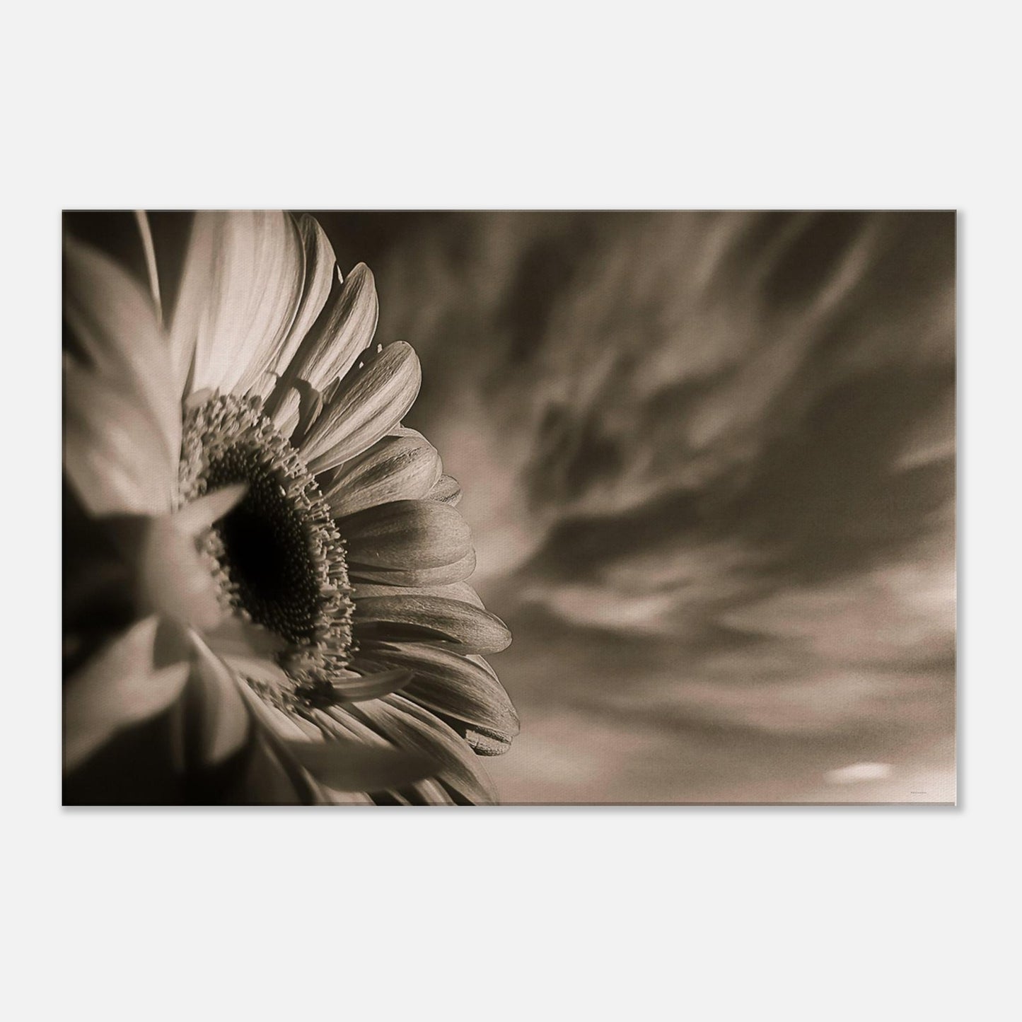 72a6d23a-99b7-4c05-8dc3-54d73cb36910