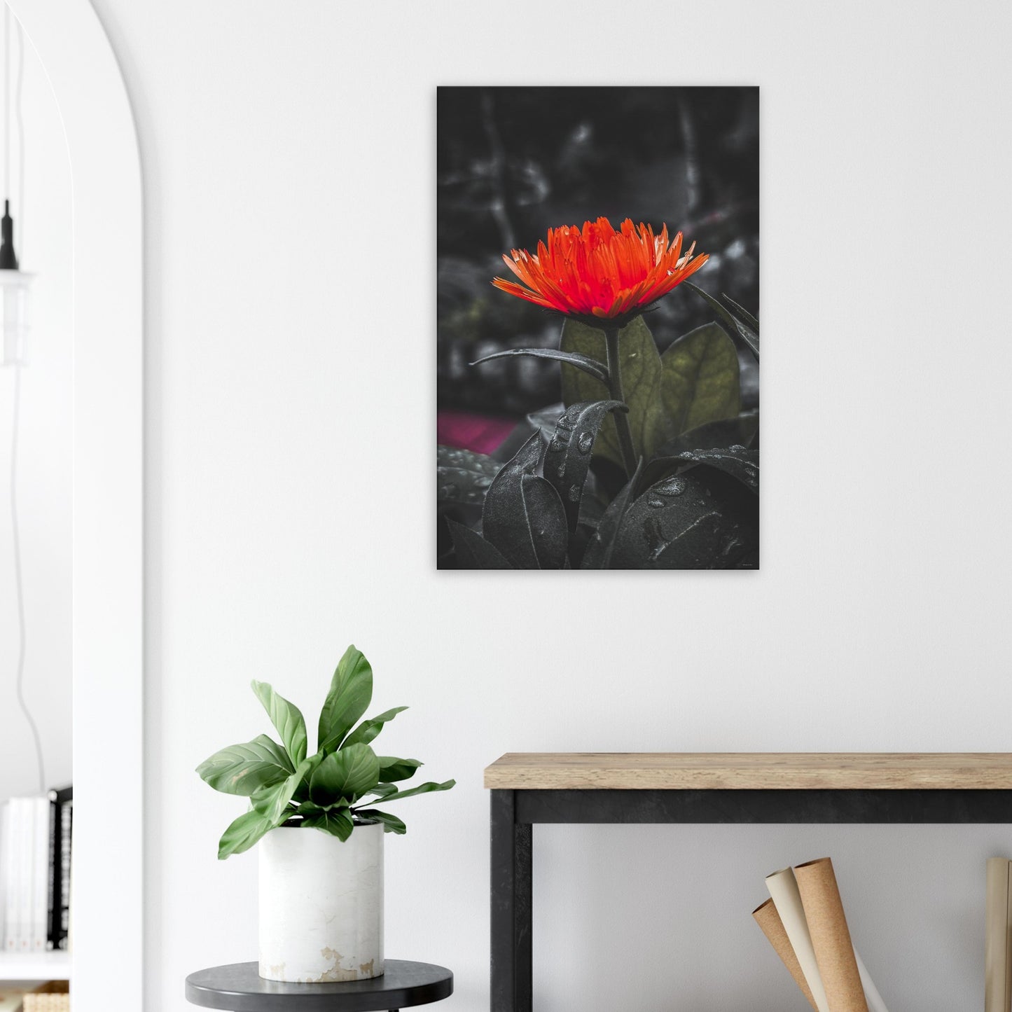 72c70a8b-8d50-4f01-8587-cbb71eb8c27c