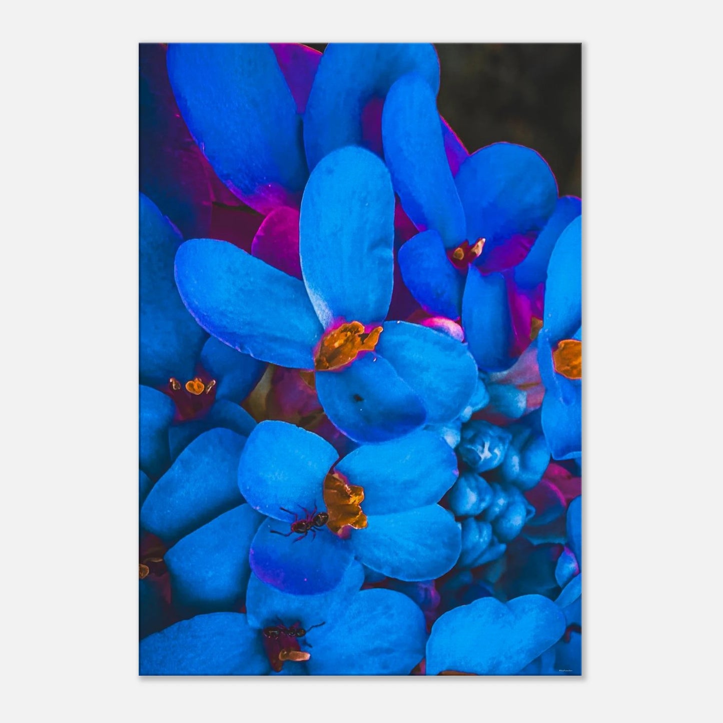 72cd0fd3-3b01-43ce-9036-d7a753f9050e