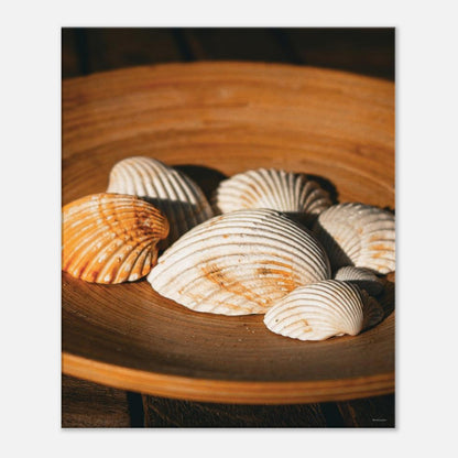 72f17a10-bbec-4bba-bbf6-717396e5dfbd