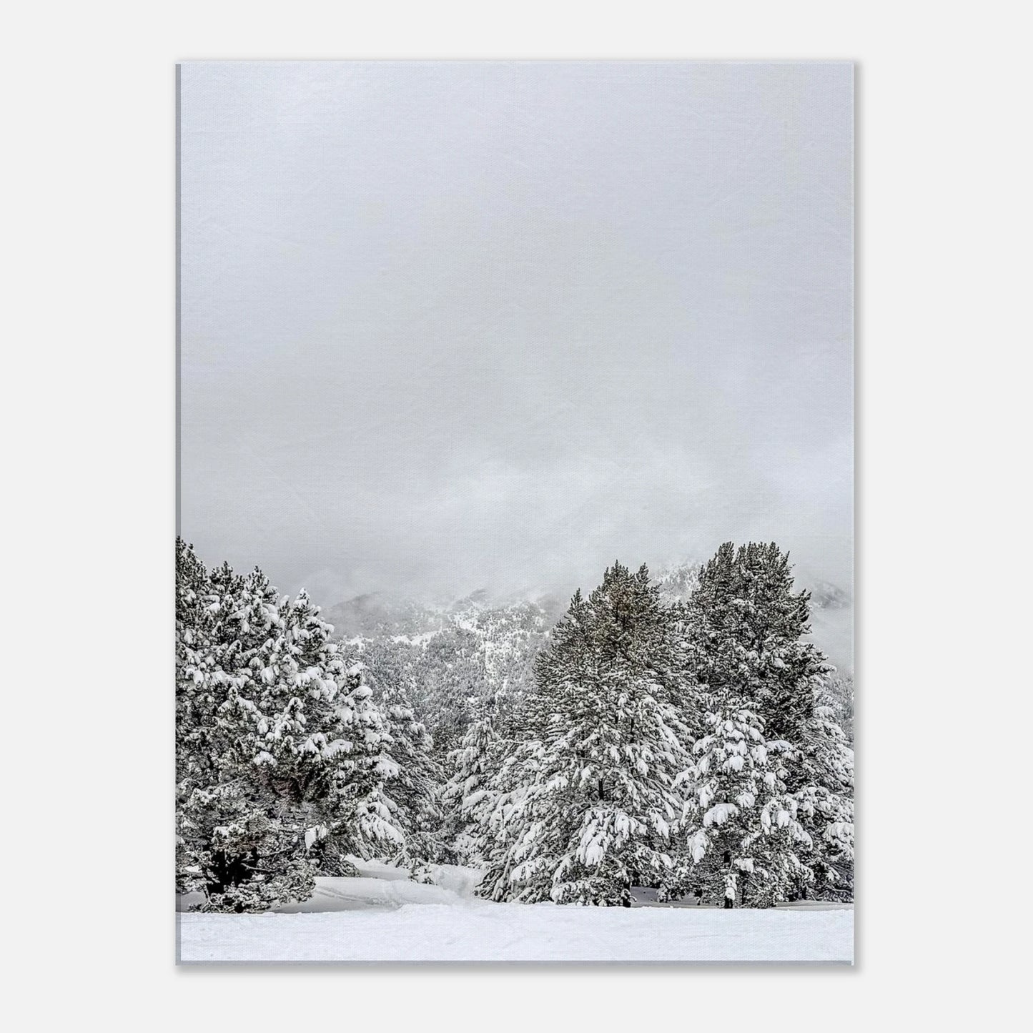 732179bb-03c4-45f6-8002-73ab78dc3dcb