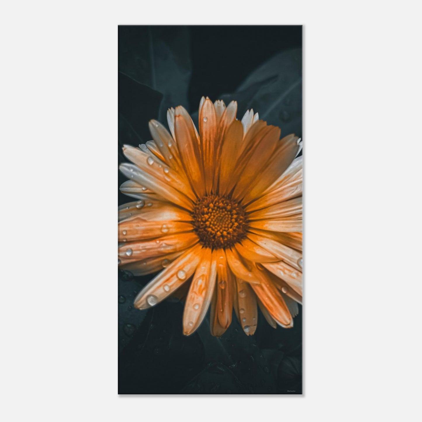 733282c8-1832-459f-99e9-c3e070f8abf2