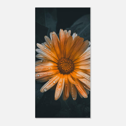 733282c8-1832-459f-99e9-c3e070f8abf2