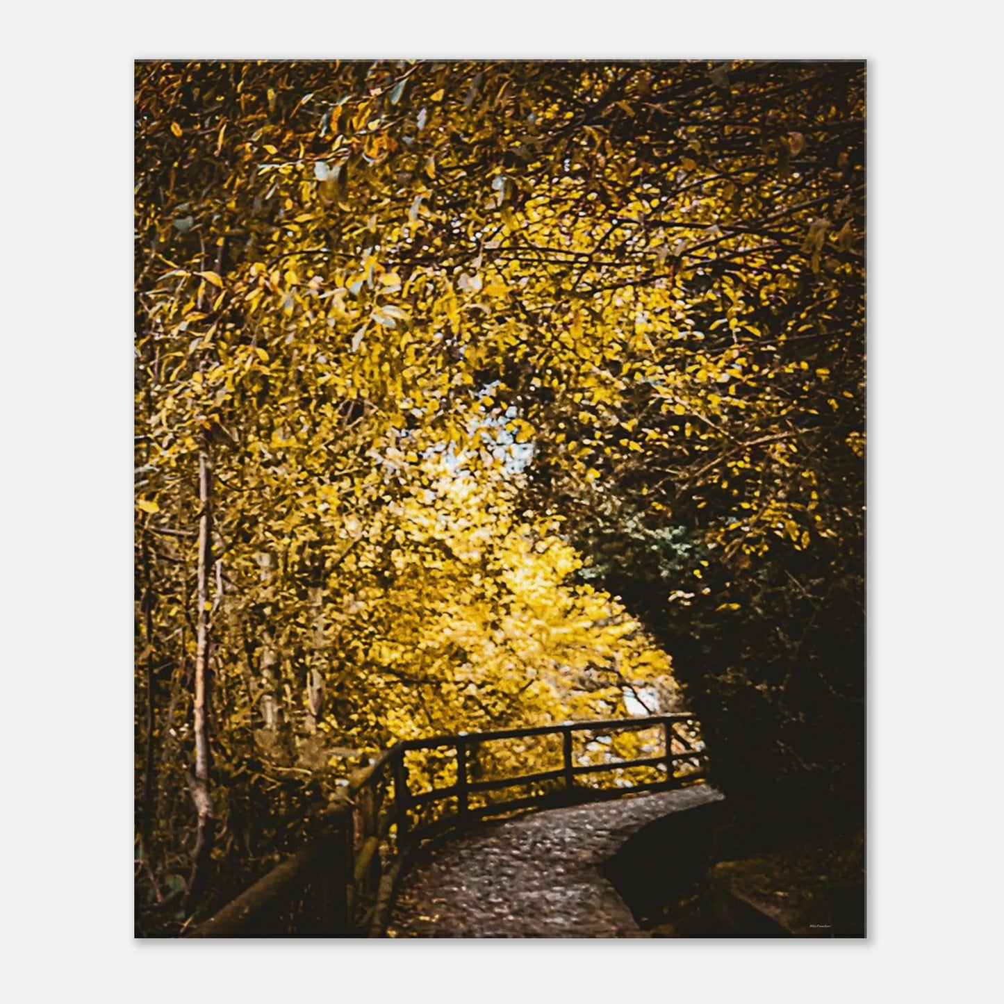 7332ddff-18b0-4ed7-9626-3475cfee43d1