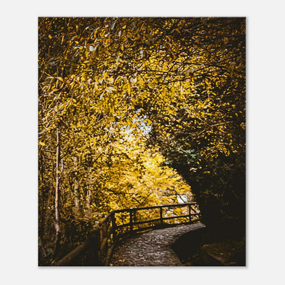 7332ddff-18b0-4ed7-9626-3475cfee43d1