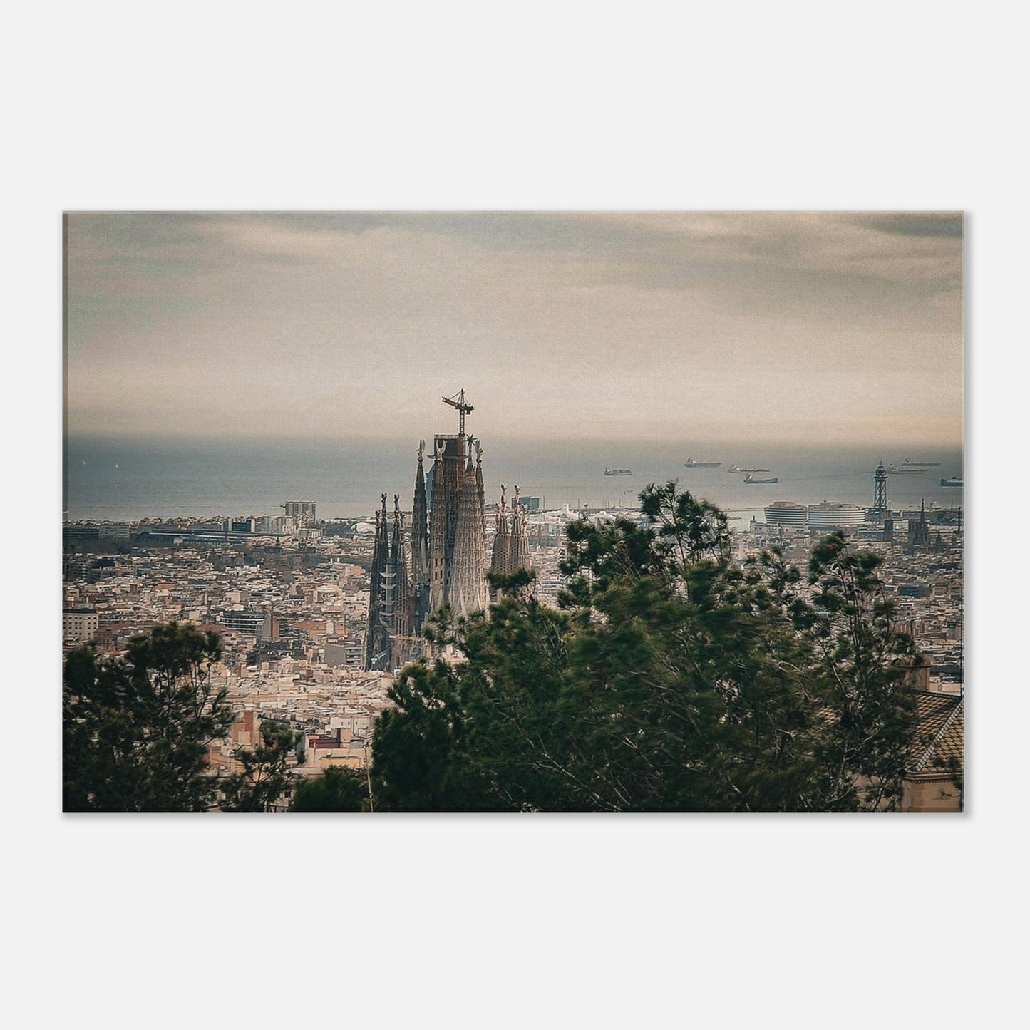 73429287-2e90-4f1d-adcf-bab6760f6c29