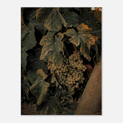 734c1bfc-ea98-4427-9fc0-196717b9d87d