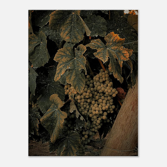 734c1bfc-ea98-4427-9fc0-196717b9d87d