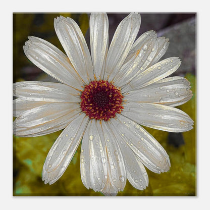 735fd9a0-4203-4a68-86a6-b2a128f00d29