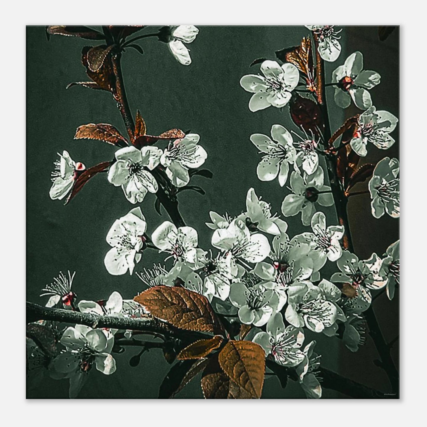 73cb0a53-eb81-4d6c-9527-32b37bd6c395