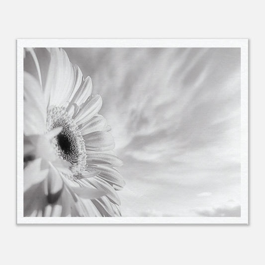 73d3c2b1-2627-49ab-98d4-810bf4c7ef1b