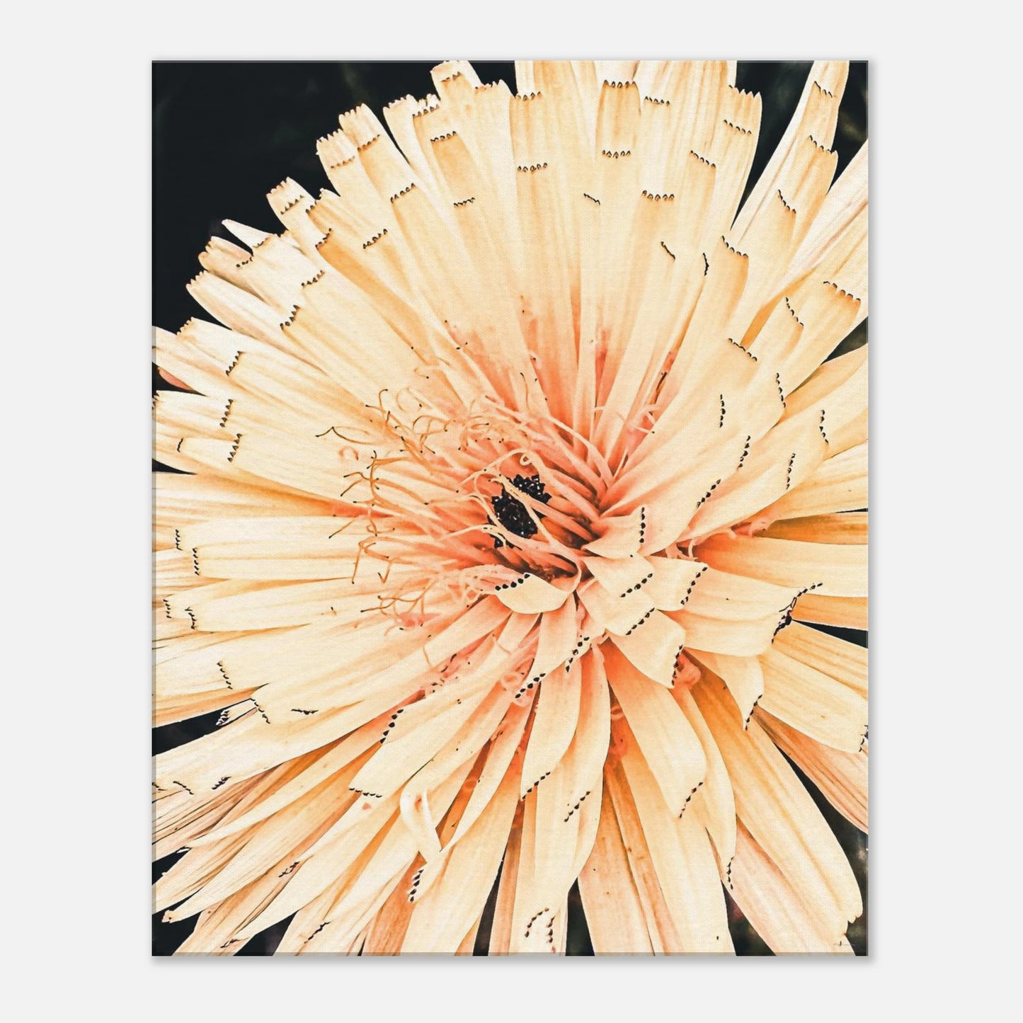 74582ed1-d6d1-48d3-aa71-8f031d87c4fe