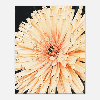 74582ed1-d6d1-48d3-aa71-8f031d87c4fe