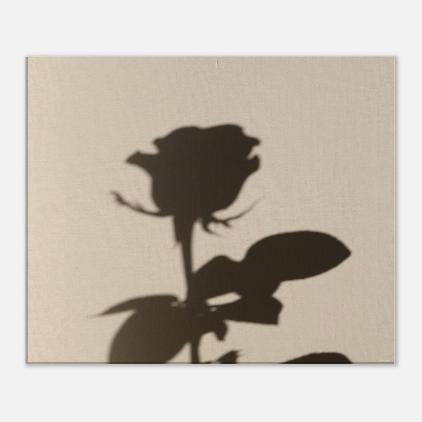 748ead1d-88fd-401f-8400-b1e156617646