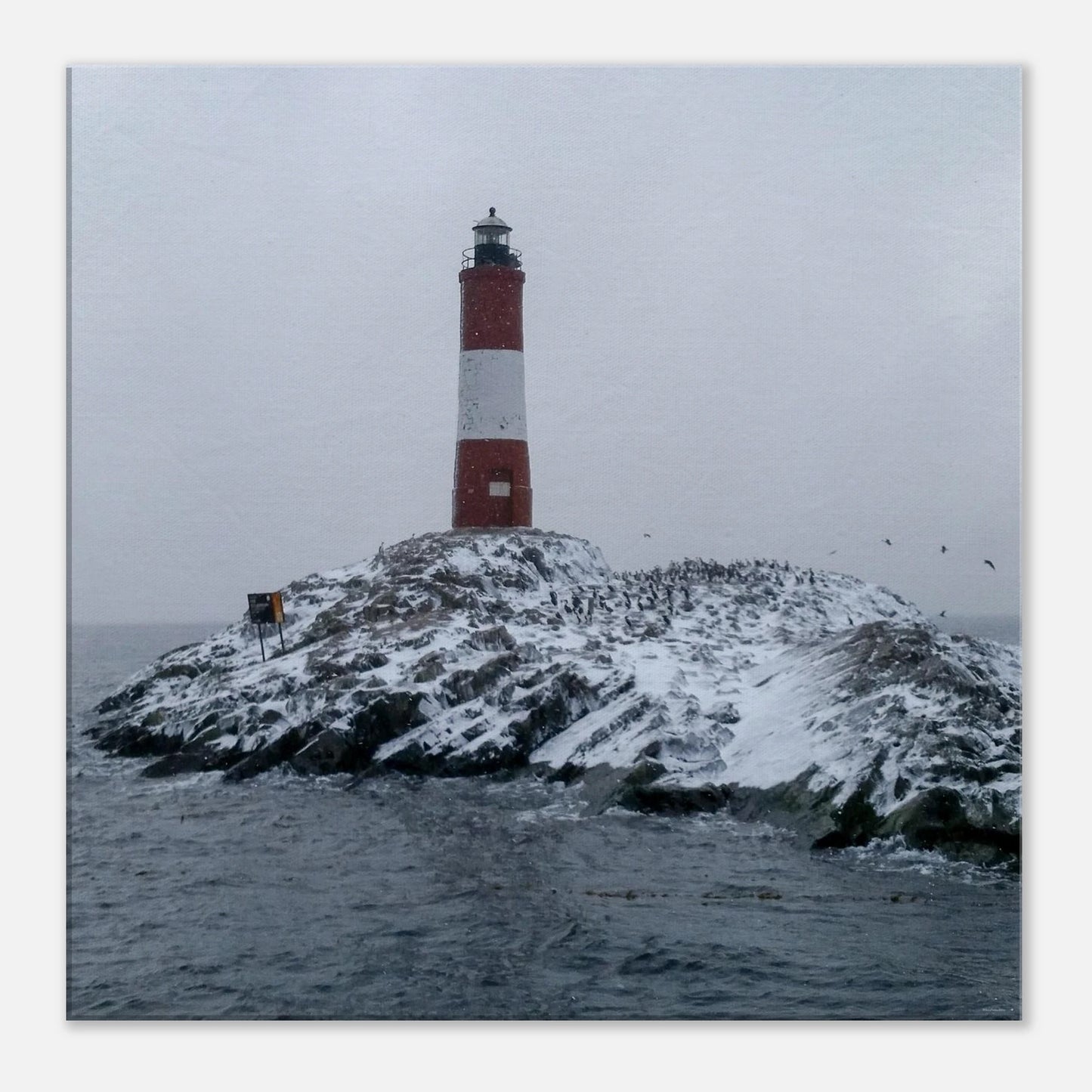 7494f95a-e0d8-45d1-86c0-cfbf48db2ee3