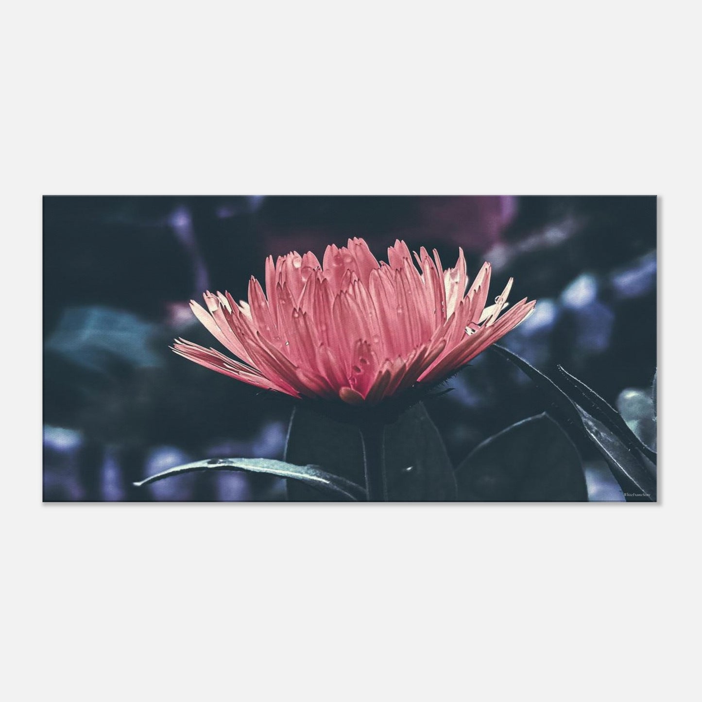 74aef01a-486c-4787-98e3-5bca5e72a194