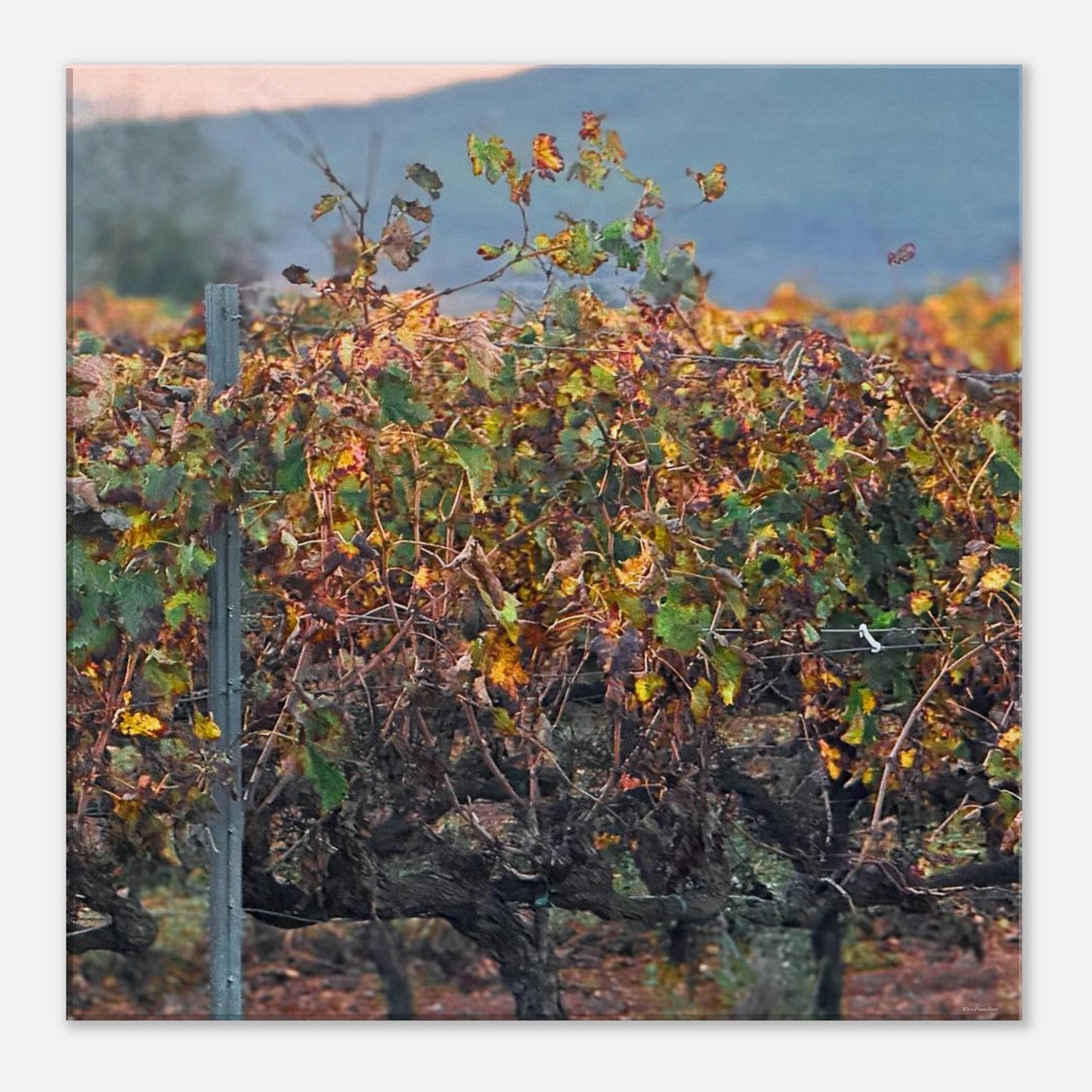 74b2d8b7-3c01-4eff-9ccd-aba9908a4937