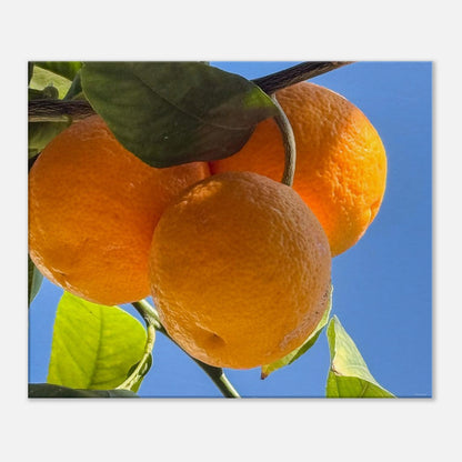 74cc9786-595b-4557-b9c3-135c65d900b3