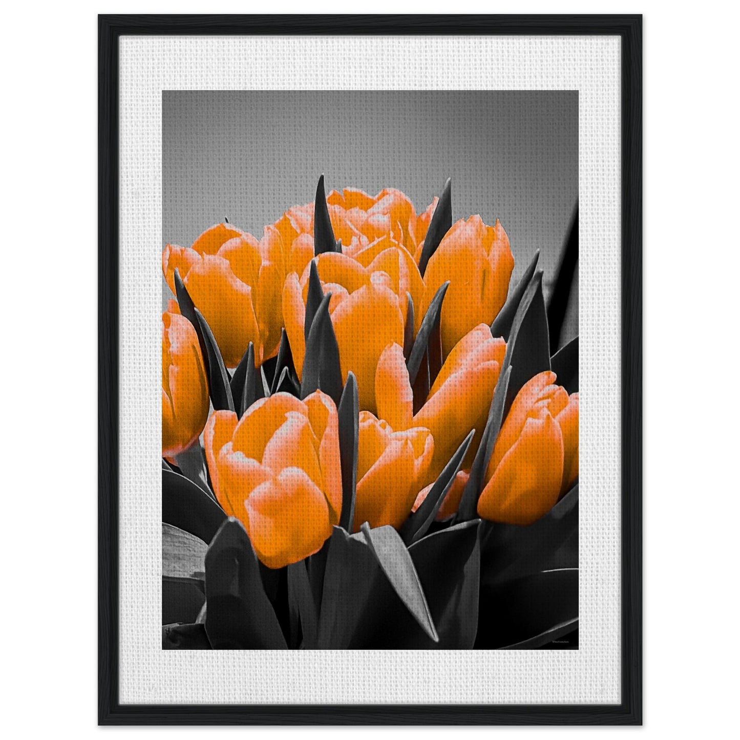 74d03426-ca9f-476f-b583-43a7775466f4