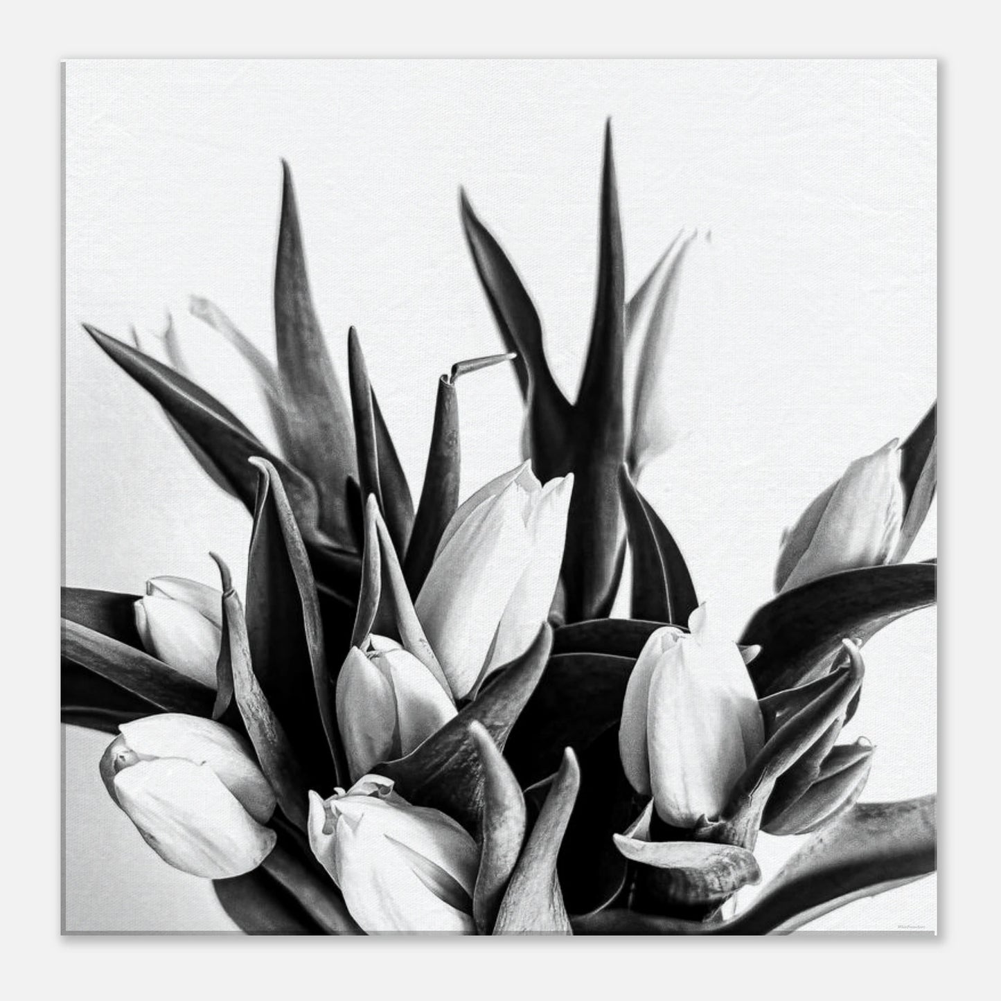 752a7aae-e48d-4ebe-be6d-5128945aefd0