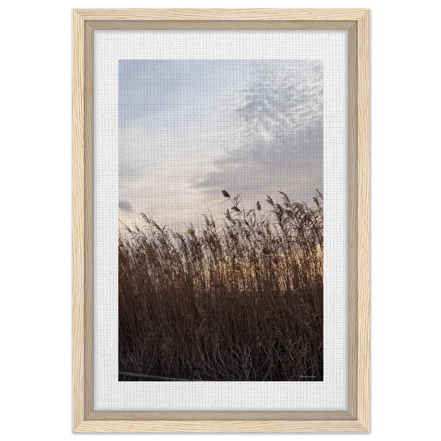 752b4e8d-1934-4da6-8478-9a0debb9ee01