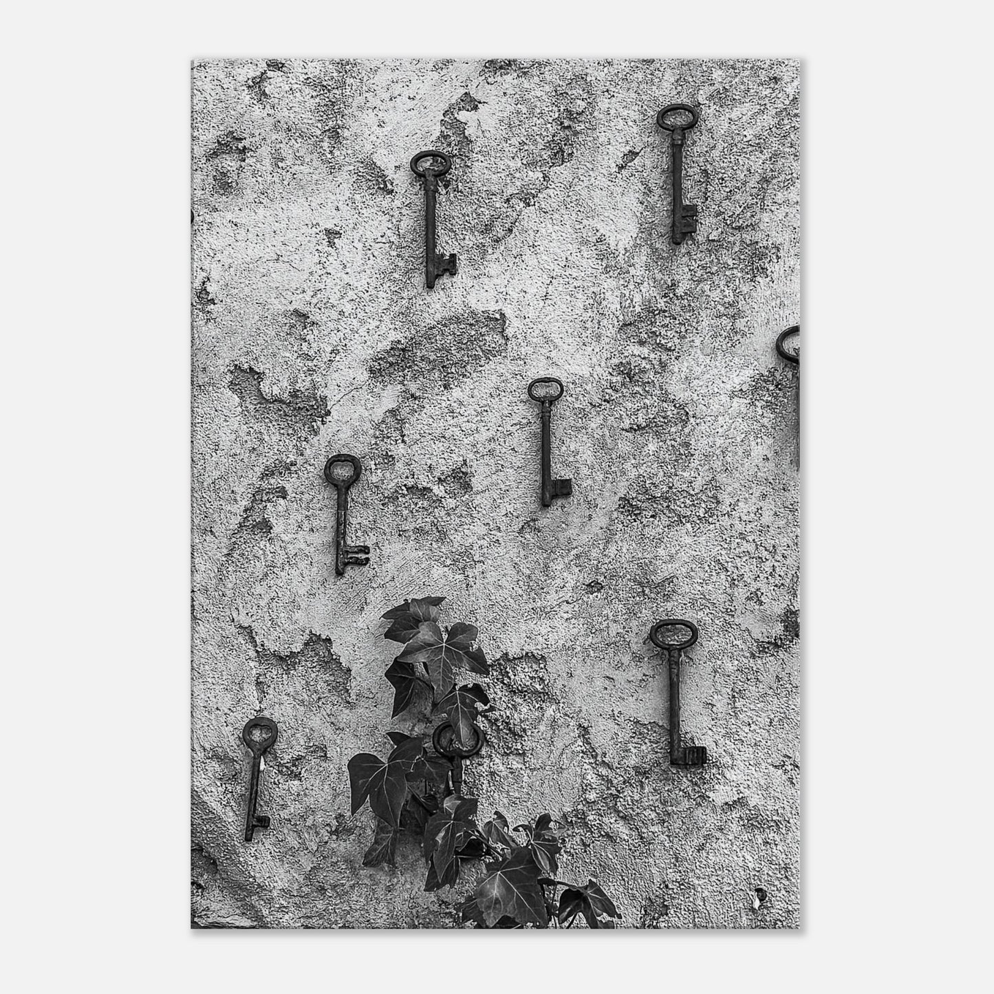 755660f4-050a-4817-90ca-0bfd87205c66