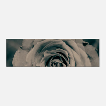 75641dda-219e-40b1-8c94-8a73d4d0225f