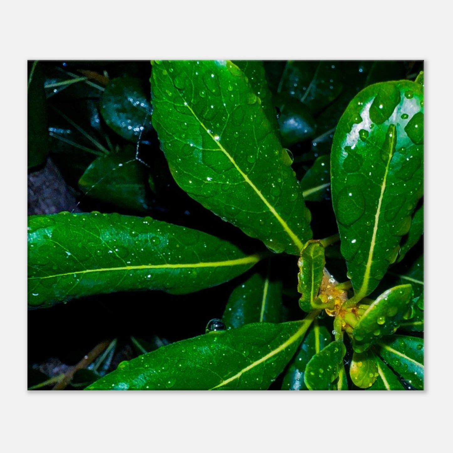 756b60c9-eda8-4037-91a6-8d55bde6b8a8