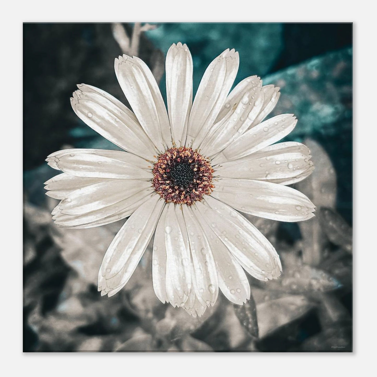 7585b182-e221-4bea-86f1-6a7d0e698682