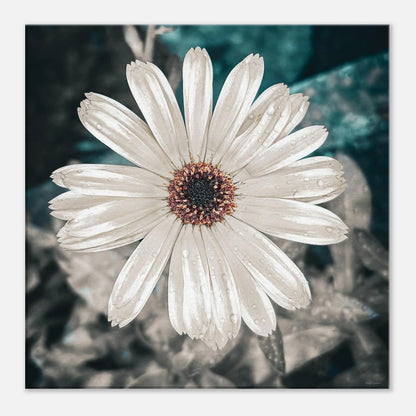 7585b182-e221-4bea-86f1-6a7d0e698682