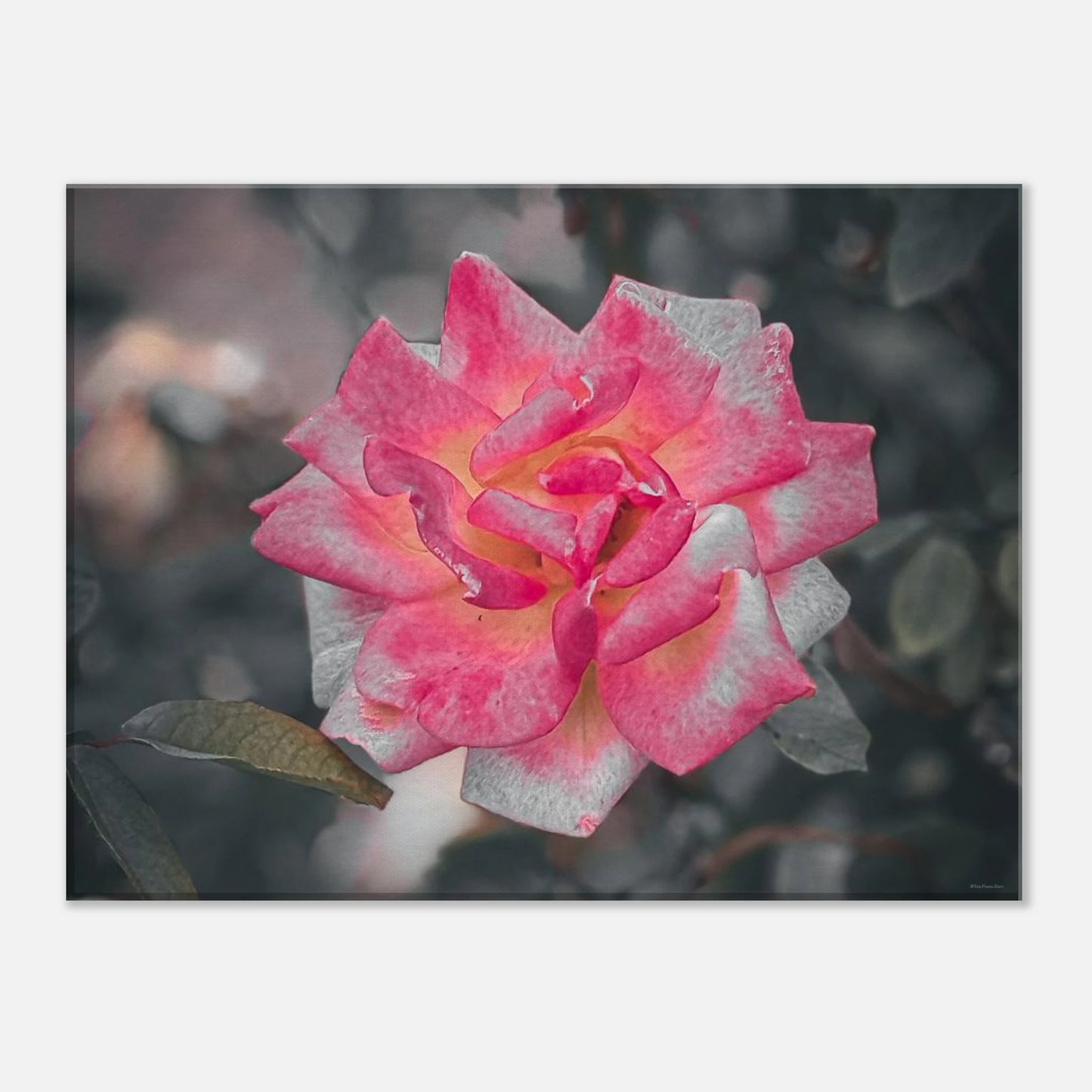 7597d407-c573-473a-a302-b2138e87dddc